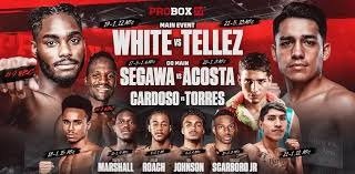 Boxing Match Preview: Jonhatan Cardoso (18-1-0, 15 KOs) vs. Luis Torres Valenzuela (21-1-0, 12 KOs)