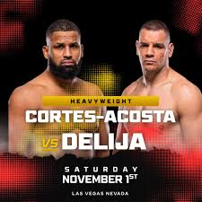 MMA Match Preview: Waldo Cortes-Acosta (14-2-0) vs. Ante Delija (26-6-0)