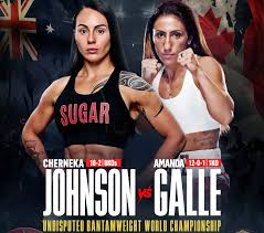Boxing Match Preview: Cherneka Johnson (18-2-0, 8 KOs) vs. Amanda Galle (12-0-1, 1 KO)