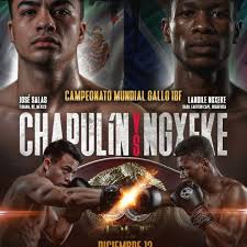 Boxing Match Preview: Landile Ngxeke (16-1-1, 8 KOs) vs. Jose Salas Reyes (16-0-0, 10 KOs)